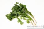 Recept Pho bo tai takmer bez tuku - koriander (Coriandrum sativum)